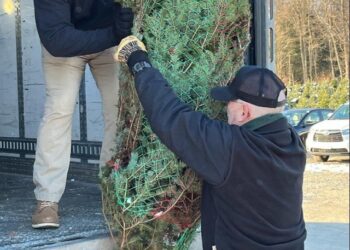 New York National Guardsmen Help Get Holiday Trees to Troops
