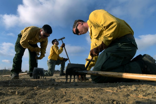 U.S. Army Sgt. Bryce Carter, an infantryman with C Company, 1st Battalion, 160th Infantry Regiment, California Army National Guard, sharpens the blade of a hoe to clear brush and other debris as part of remediation efforts along the Mulholland...