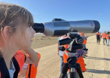 Flocking together: 
Fort Cavazos biologists host ninth annual Christmas Bird Count