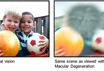 Help for blind and low vision Veterans