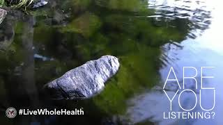 Live Whole Health #262: Listening to your life
