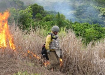 Army to begin prescribed burn of Schofield Barracks training range complex April 13-19