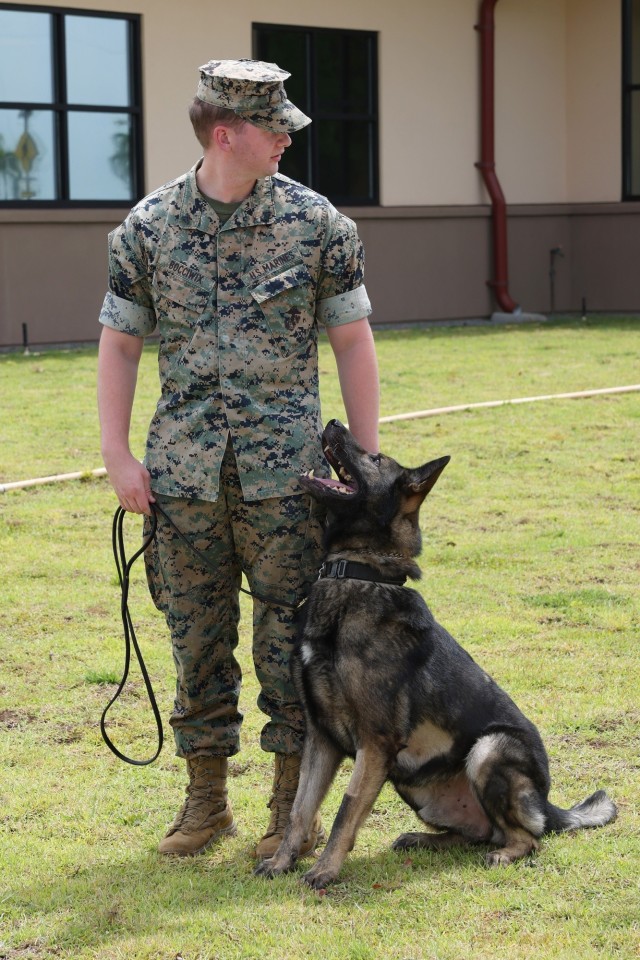 New $21M Army Veterinary Center Enhances Pet Care in Pacific