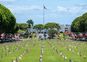Scouts, Soldiers, volunteers honor fallen at Memorial Day ceremony