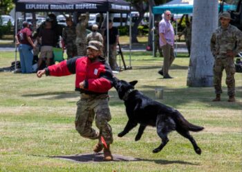 Army showcases warfighter readiness, lethality at Fort DeRussy Community Day