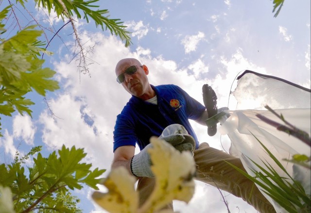 From small town to big mission: Senior NCO in Japan reflects on career during Army’s 250th year