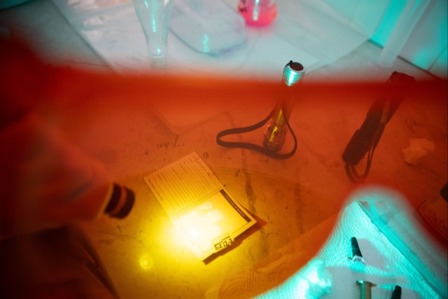 U.S., Tunisia conduct forensic training at African Lion 2025