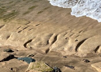 Ancient Hawaiian petroglyphs revealed at Pililaau Army Recreation Center