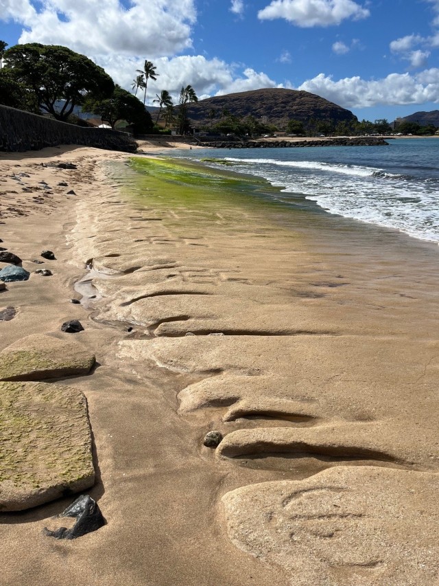 Ancient Hawaiian Petroglyphs revealed at Pililaau Army Recreation Center