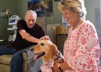 Therapy dog and owner provide healing power